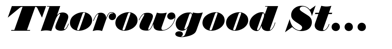 Thorowgood Std Regular Italic (D)